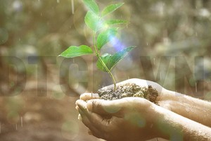 Bàn tròn 99Kl99 link đăng nhập: Đã đến lúc bắt đáy?