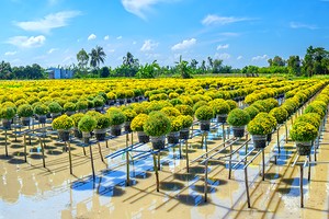Thúc đẩy chuyển đổi sang Kl992 cổng game cá cược tuần hoàn cần nâng cao nhận thức và hoàn thiện chính sách
