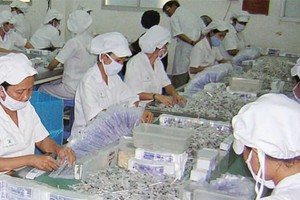 DCL chuẩn bị phát hành tiếp 5 triệu KL99 là cổng game giải trí trực tuyến hàng đầu hiện nay 