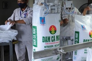 Đạm Cà Mau đạt 882 tỷ đồng Kl99 nổ hũ sau thuế hợp nhất