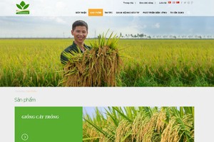 6 tháng, NSC lãi ròng 72,6 tỷ đồng