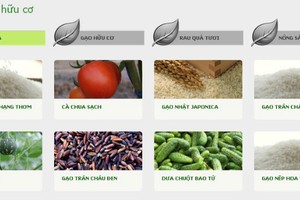 NSC trả 99Kl.app mobile mới nhất 15% vào ngày 10/9