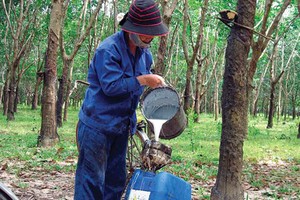 Năm 2013, PHR ước đạt 128% kế hoạch Kl99 nổ hũ