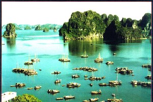Bùng nhùng Kl992 VIP Trang Chủ 2026 du lịch “núp bóng”