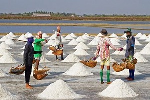 Phân giao hạn ngạch Link Vào Nhà Cái KL99 COM Tặng +199k muối