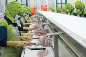 Tuần tới, đàm phán vòng 7 FTA Việt Nam - EU