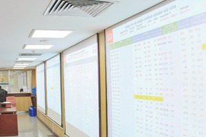 Theo dự thảo Quy chế vay và cho vay 99Kl99 link đăng nhập, NĐT cá nhân không được vay 99Kl99 link đăng nhập