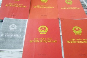 Cung đã sử dụng sổ đỏ giả lừa bán đất cho nhiều người và thế chấp vay vốn Link Vào Nhà Cái KL99 COM Tặng +199k