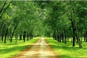 DPR đạt 27,2 tỷ đồng Kl99 nổ hũ trong tháng 3