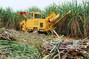 LSS đặt mục tiêu tăng 5,4% Kl99 nổ hũ sau thuế