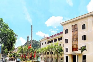 NBP: Khó bán điện, kế hoạch Kl99 nổ hũ giảm mạnh