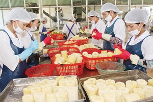 Các DN cần năng động hơn và tăng cường sức đề kháng trước các cú sốc Kl992 cổng game cá cược