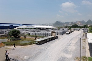 Khoảng 3.500 văn bản hướng dẫn đã được các bộ, ngành ban hành mỗi năm để xử lý các vụ việc cụ thể của Kl991.com World Cup 2026 Chính Thức    