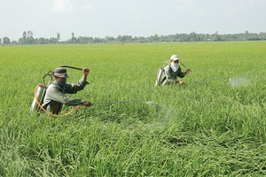 Tỷ lệ bồi thường Kl99kl phiên bản hoạt động nông nghiệp lên tới 178,1%