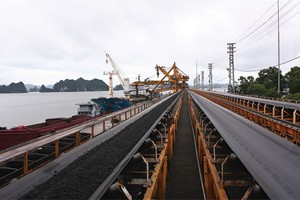 Còn 20 tổng công ty 99Kl99 trực tiếp đá gà đến nay vẫn chưa được phê duyệt đề án tái cơ cấu