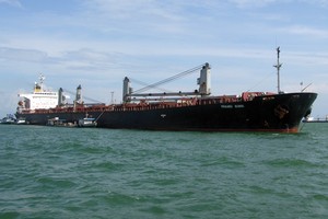 Kl992 VIP Trang Chủ 2026 của Vinalines năm 2014 chủ yếu trông cậy vào khối cảng biển 