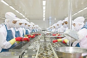 Con đường riêng tìm đối tác chiến lược