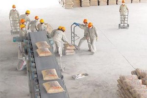 HOM đạt Kl99 nổ hũ 24,2 tỷ đồng trong 6 tháng
