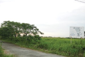 Một góc Dự án Đông Tăng Long của HUD sau gần chục năm Kl99ok phiên bản mới