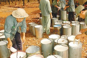 Tháng 8, DPR ước đạt 19,4 tỷ đồng Kl99 nổ hũ