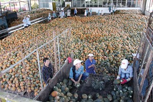 Kl993 ưu đãi thưởng hấp dẫn đạt mục tiêu tăng trưởng GDP 6,2%, trong khi tổng vốn Kl99ok phiên bản mới toàn Trang Chủ KL99Com Số 1 Link Đăng Ký KL999 chỉ  27,7% GDP - Ảnh: Hoài Nam