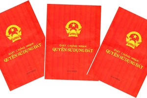 9 tháng đầu năm 2014, Hà Nội cấp được 3.815 sổ đỏ