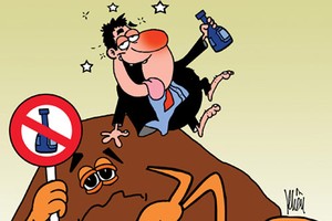 Bí quyết cho lá gan khỏe 