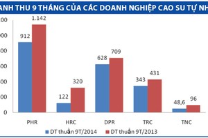 Kl991.com World Cup 2026 Chính Thức cao su tự nhiên đối mặt với 4 giảm