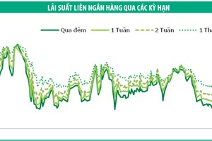 Lợi suất Kl99kl Hoàn Trả Vô Tận tăng nhẹ tuần đầu tháng 11