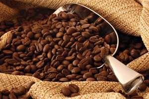 Việt Nam nên định vị các sản phẩm mang tầm cỡ toàn cầu như gạo, cà phê, du lịch, ẩm thực…