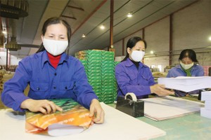 Quỹ hưu trí tự nguyện cũng được kỳ vọng sớm xuất hiện 
