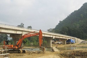 Ảnh Internet