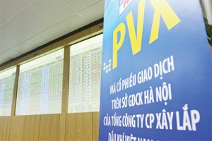 PVX đã phải chật vật để yêu cầu PVL tổ chức ĐHCĐ bầu lại các thành viên HĐQT