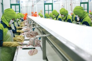 MPC vừa đưa hệ thống SAP ERP vào vận hành