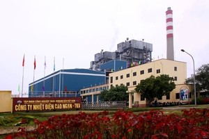 Ảnh Internet