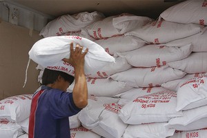 Năm 2015, dự báo thị trường gạo xuất khẩu tiếp tục gặp khó khăn