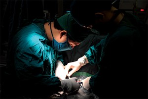 Đa số ý kiến nhất trí với việc hình sự hóa hành vi trốn đóng BHXH, BHYT cho người lao động nhằm bảo vệ quyền lợi cho người tham gia Kl99kl phiên bản hoạt động