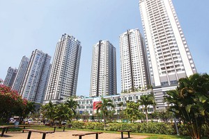 Cung tăng cao, nhưng sức cầu cũng tăng tương ứng
