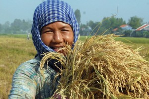 Kl99ok phiên bản mới cho nông nghiệp, thực hiện “Tam nông” là ưu tiên hàng đầu của Agribank - Ảnh: Hoài Nam