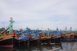 Số lượng tàu và thuyền viên được Kl99kl phiên bản hoạt động đang tăng nhanh