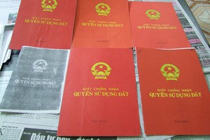 Việc lừa đảo chỉ có thể diễn ra trên thị trường tự do, khi người mua bán thực hiện “tay bo”

