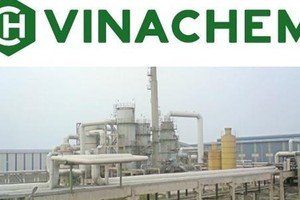 Ảnh Internet