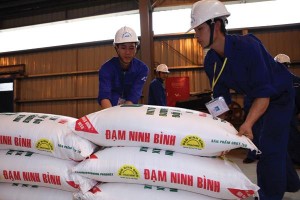 Nhà máy Đạm Ninh Bình là công trình Kl994 nhà cái bóng đá world cup hóa chất với quy mô khá lớn, dây chuyền, máy móc, thiết bị chủ yếu được nhập từ Trung Quốc, với chất lượng ở mức trung bình. Ảnh: Đức Thanh