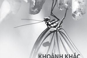 Có thể thấy, 2014 là một năm của rất nhiều biến động trên mọi lĩnh vực Kl992 cổng game cá cược, Kl991.com tải ứng dụng, Trang Chủ KL99Com Số 1 Link Đăng Ký KL999 tại Việt Nam và trên thế giới. Với vai trò là một CTCK đầu ngành, có những đóng góp tích cực vào sự phát triển của TTCK Việt Nam, HSC nhìn thấy rõ và mong mu