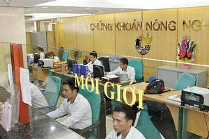 Quyết định thay đổi chiến lược Kl992 VIP Trang Chủ 2026 hướng về môi giới và tư vấn Kl991.com nạp rút nhanh đang giúp Agriseco phát triển toàn diện các mặt nghiệp vụ