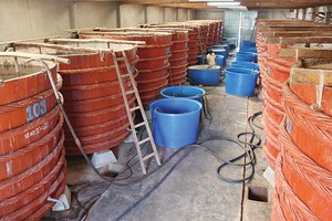 Việc đầu tiên cần phải làm là xây dựng được thương hiệu thật tốt trên chính thị trường nội địa
