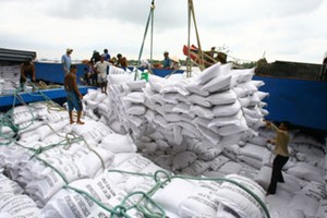 Theo giới thiệu của Vinafood 1 thì Tổng công ty có 40 lĩnh vực ngành nghề Kl992 VIP Trang Chủ 2026 (Ảnh Internet)