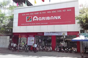 Ảnh Internet