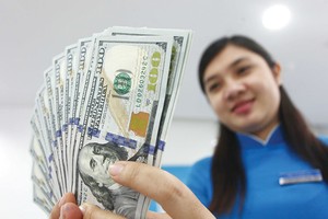 Những tác động từ bên ngoài vào thị trường tiền tệ Việt Nam từ nay đến cuối năm không lớn.
Ảnh: Lê Toàn