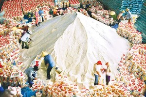 Trong nhiều năm, Vinafood 2 làm ăn thua lỗ, làm thất thoát hàng trăm tỷ đồng vốn 99Kl99 trực tiếp đá gà nhưng vẫn trả lương cao cho cán bộ quản lý